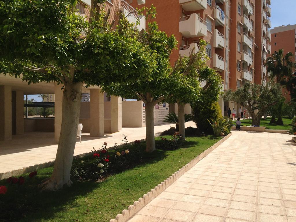 Apartment Playa San Juan Аликанте Номер фото